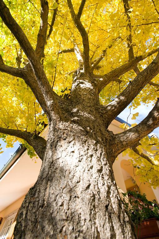 L'Albero Della Vita Ceriale Exterior photo